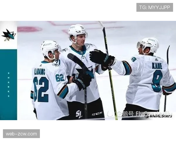 黑鹰队凯恩距美国球员得分纪录差19分 现役排名第一